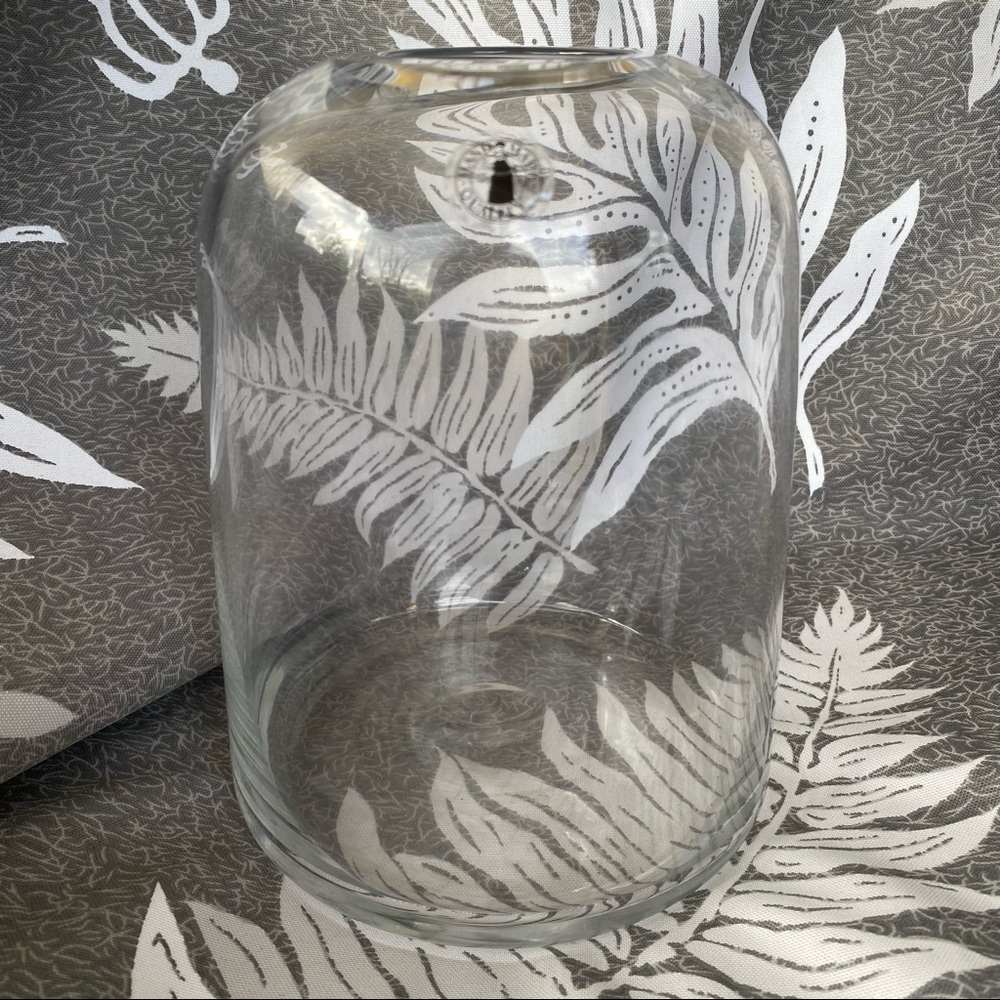 NEW Open Top Dome Glass Terrarium
